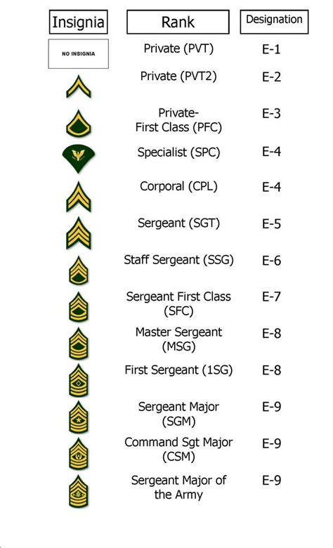 √ Us Army Ranks By Age Space Defense