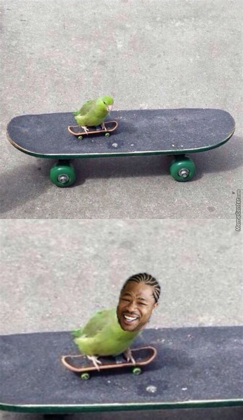 A Bird On A Skateboard On A Skateboard Your Argument Is Invalid