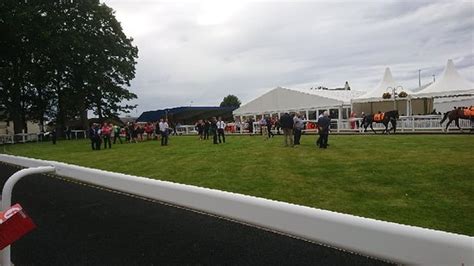 The Races At Ayr Racecourse 2021 All You Need To Know Before You Go