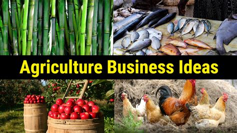We did not find results for: 50 Most Profitable Agriculture Business Ideas - Updated 2019