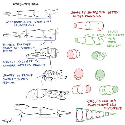 Miyuli On Twitter Perspective Hand Drawing Reference Anatomy Tutorial