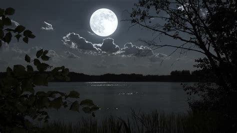 Nature Full Moon Night Landscape With Forest Lake Stock Footage Video