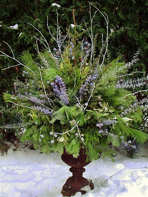 Ten Steps To Great Winter Containers The Hortiholic Christmas