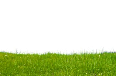 Green Grass Png File Png Mart