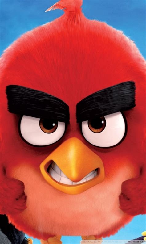 Download Angry Birds Hd Wallpapers For Mobile Gallery