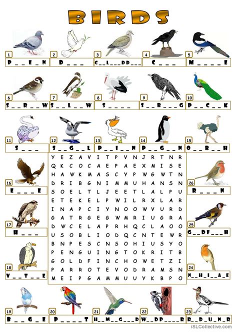 Birds Wordsearch Word Search English Esl Worksheets Pdf And Doc