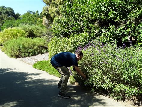 Cant resist... : r/newworldgame