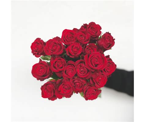 Rose Red Ribbon 40cm 20 Tiges Livraison De Roses Rouges