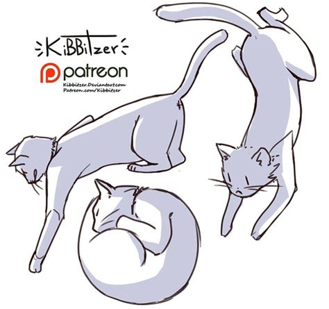 Pin By Lia Sliver On Draw Drawing Reference Poses Cat Reference