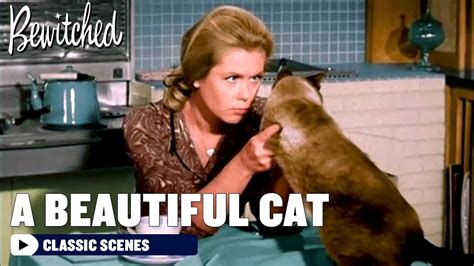 samantha turns a cat into a beautiful model bewitched youtube