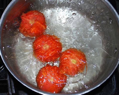 Tomato Concasse How To Peel And Seed A Tomato Chef Forum