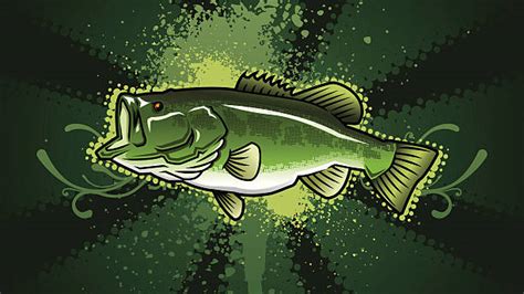 Largemouth Bass Illustrations Royalty Free Vector Graphics And Clip Art