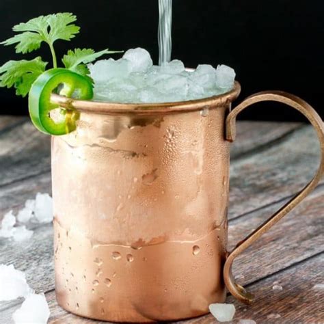 20 incredible moscow mule recipes the wicked noodle