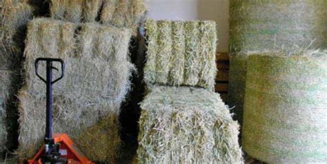 Hay Blocks Archives Whispering Ranches Feed