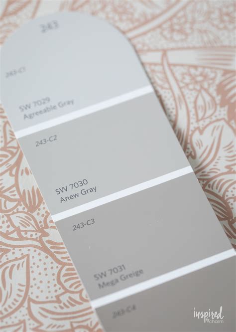 Sherwin Williams Anew Gray Sw 7030 Paint Color Review