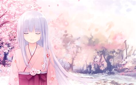 70 Sakura Background