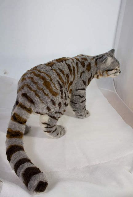 It lives high in the andes mountains and patagonian steppe, where food is scarce and weather conditions are extreme. Needle felt Andean mountain cat 1 | Cats, Cat species