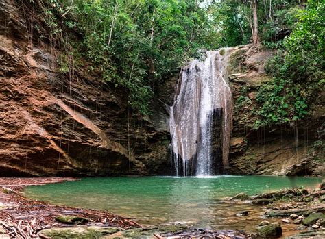 12 Mejores Cascadas En Jamaica Bookineo