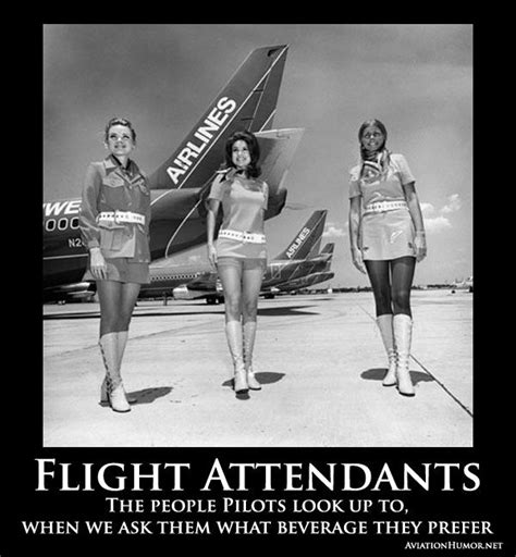 Flight Attendants Citações De Aviação Humor De Aviação Humor Sobre