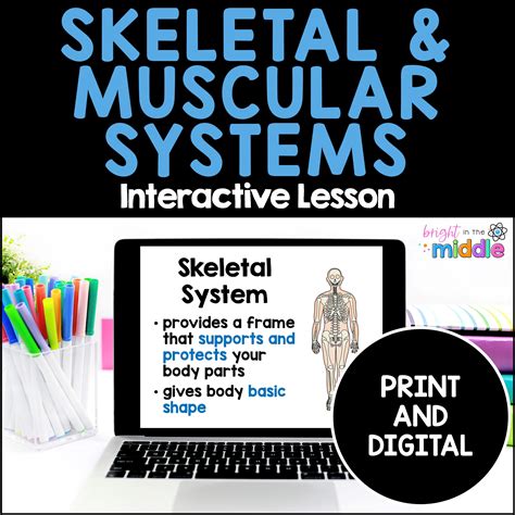 The Skeletal And Muscular System Interactive Lesson