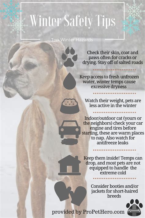 Winter Pet Safety Pro Pet Hero