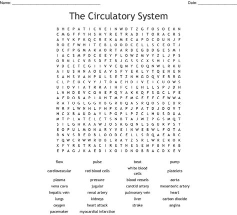 Biology Word Search Circulatory System Includes Blood