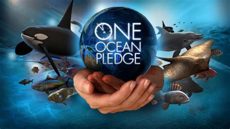 Petition · Saving Our Oceans ·