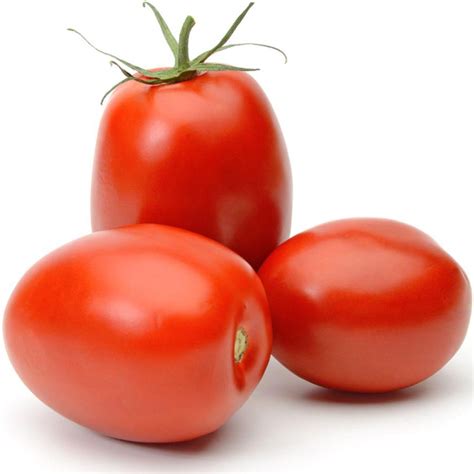 50 Giant Italian Plum Tomato Seeds Welldales