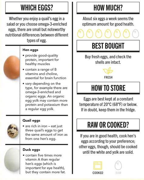 The Health Benefits Of Eggs Infographic For 2021