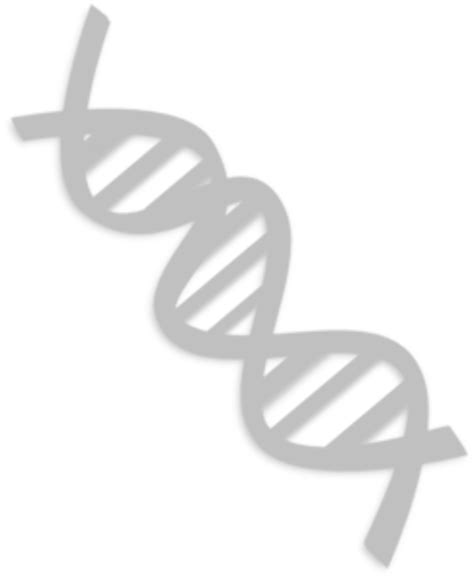 Download High Quality Dna Clipart White Transparent Png Images Art