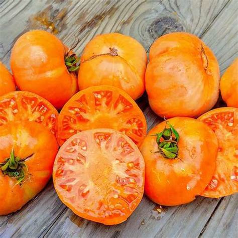 Amana Orange Beefsteak Tomato Meraki Seeds