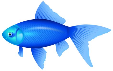 Blue Fish Image Free Download On Clipartmag