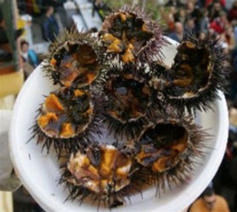 Clases de cocina en cádiz. Erizada del Carnaval de Cádiz 2015 - Cocina Andaluza