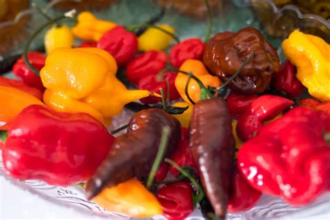 Types Of Chili Peppers Their Taste Uses And Heat On The Scoville Scale