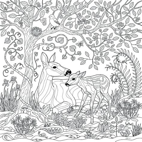 Enchanted Forest Coloring Pages At Getdrawings Free Download