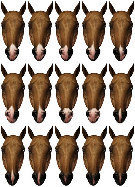 Snip Pack Download The Sims 3 Pets Sims Pets Horse Color Chart Horse