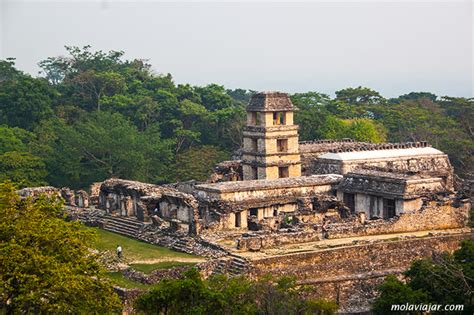 Zona Arqueológica De Palenque Un Gran Tesoro Maya