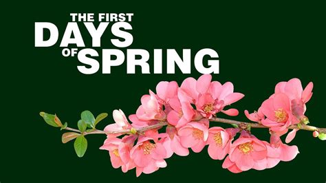 The First Days Of Spring Youtube