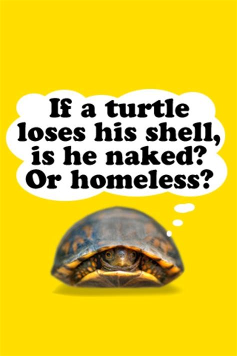 A Turtle With A Thought Bubble Saying If A Turtle Loses His Shell Is