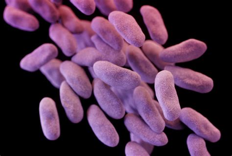 Scientists Design Super Antibiotics To Fight Drug Resistant Bacteria