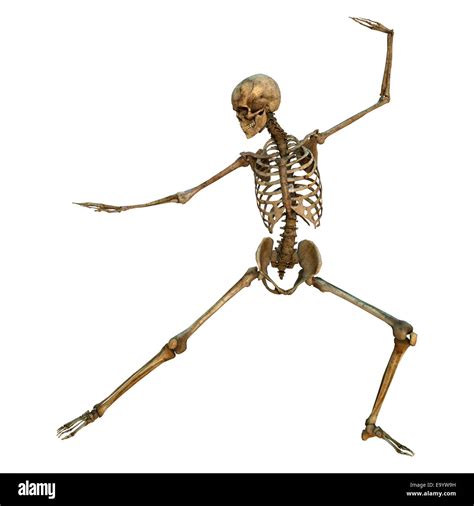 3d Digital Render Of A Human Skeleton In A Bow And Arrow Martial Arts