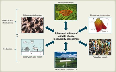 Beyond Predictions Biodiversity Conservation In A Changing Climate
