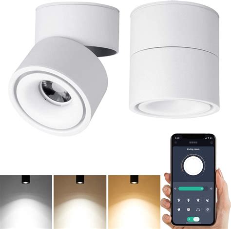 Yodaba Smart Led Dimmable Ceiling Spotlight 360°adjustable Indoor