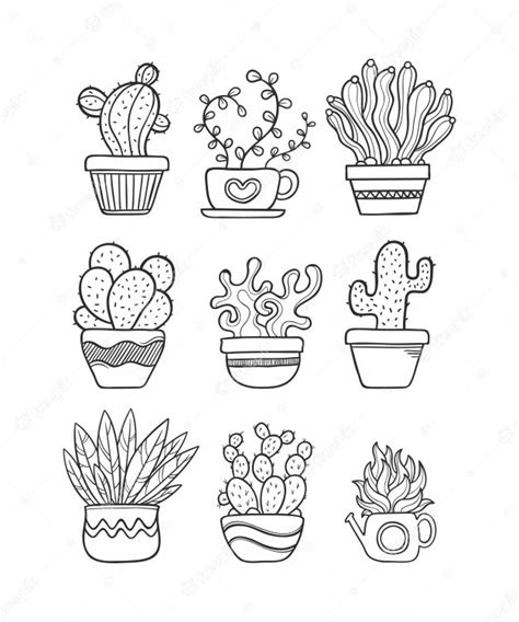Premium Vector Cactus Hand Drawn Doodle Coloring