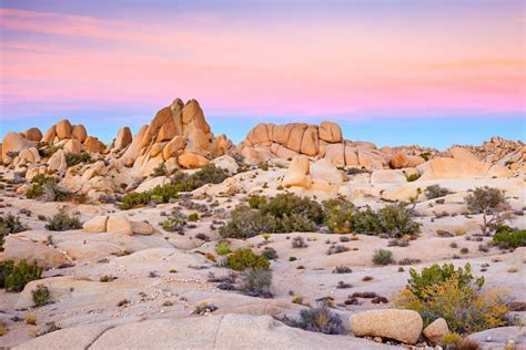 Things To Do In Mojave Desert Best Places To Visit And Tourist Attractions