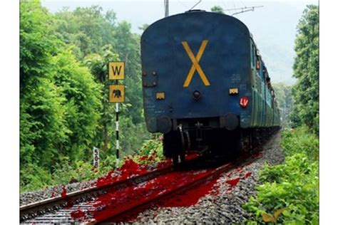 Two Women Teachers Run Over By Train In Bihars Aurangabad