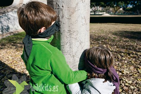 5 Divertidos Juegos En La Naturaleza Con Niños Wildkids