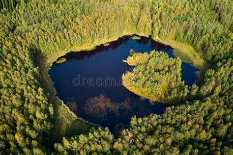 Aerial View Of A Picturesque Lake In The Depths Of A Green Forest Stock