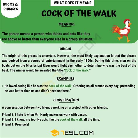 Cock Of The Walk What Does It Mean With Helpful Examples • 7esl