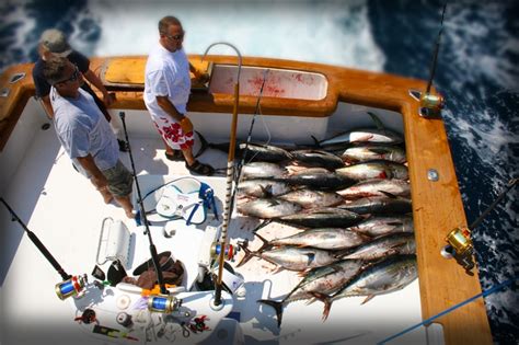 Please correct the errors below. Ocean City Maryland Sportfishing, Offshore fishing, Deep ...